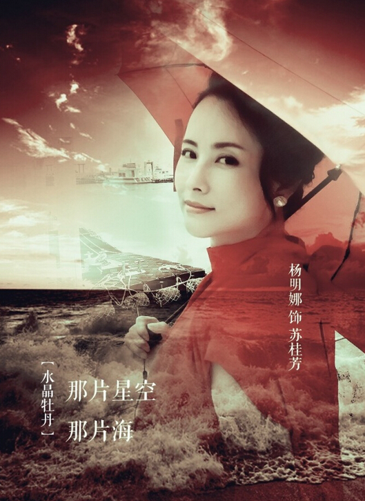 混元灵珠苏桂芳