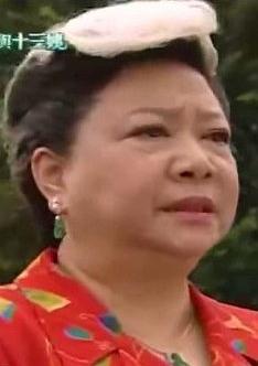 烈性摔跤姜军包婆婆