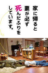 猜火车野野澄花